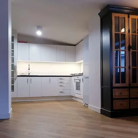 Exclusive Mansard Flat With Great View Рига