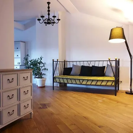 Exclusive Mansard Flat With Great View Рига